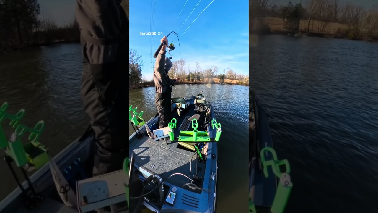 Quick bait trip