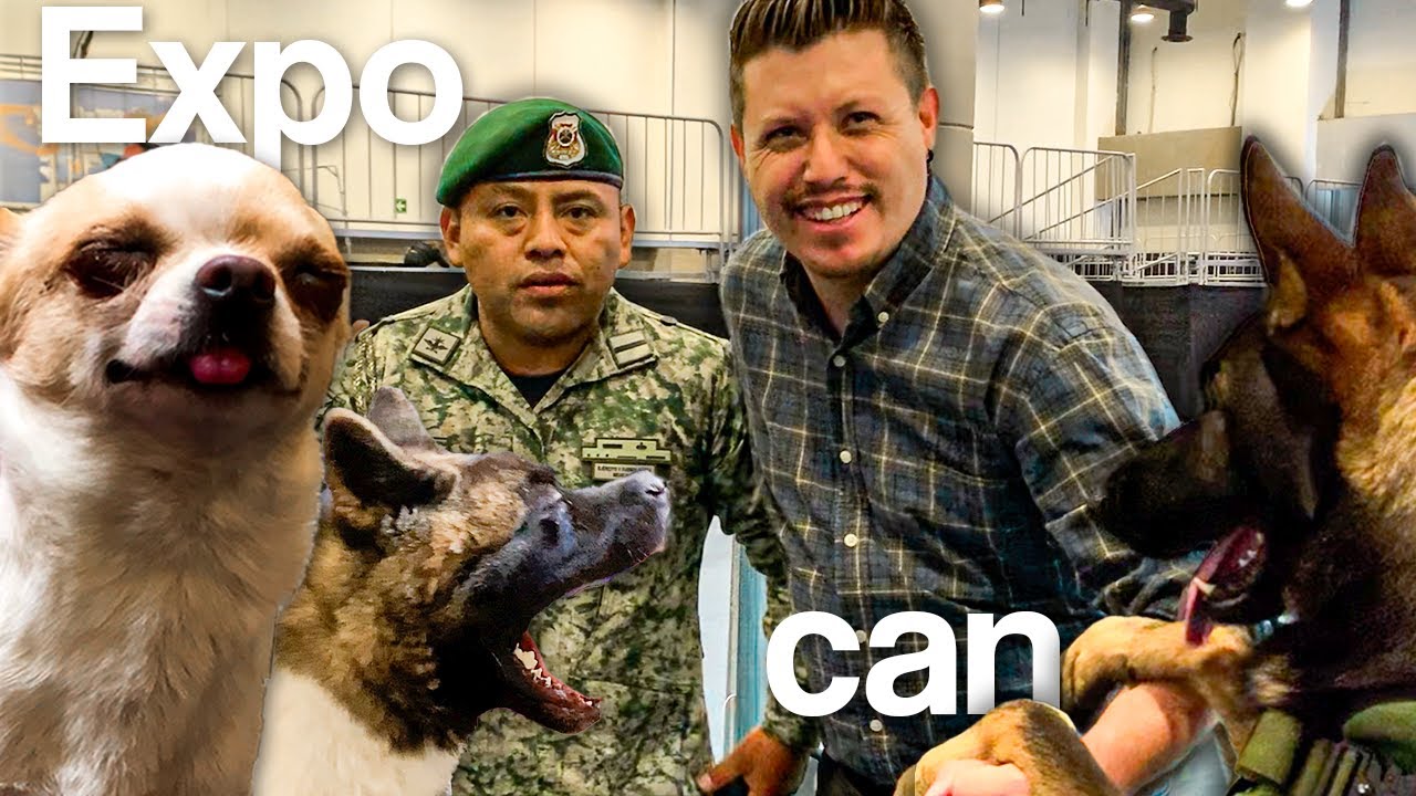 ESTOS SON LOS PERROS DE BUSQUEDA y RESCATE DEL EJERCITO - EXPO CAN