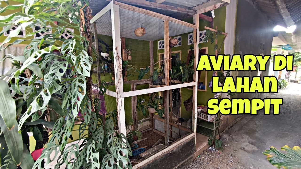 MELIHAT ISI AVIARY MINI