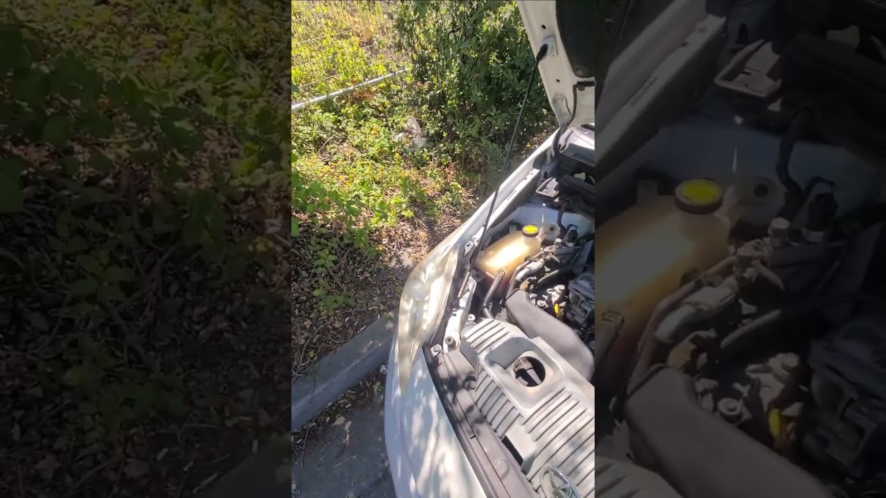 Ruido extraño en el motor? Toyota prius 2012. aquí la solución!!