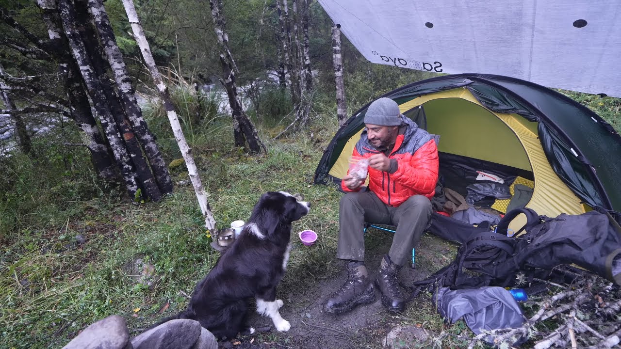 Camping In Heavy Rain By River With Dog And Tent