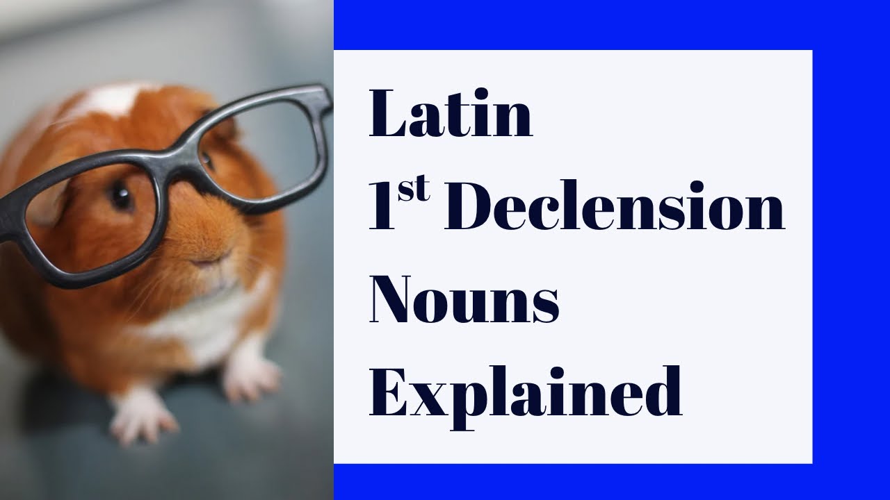 Latin 1st Declension Nouns Explained | Beginner Latin Grammar Lesson