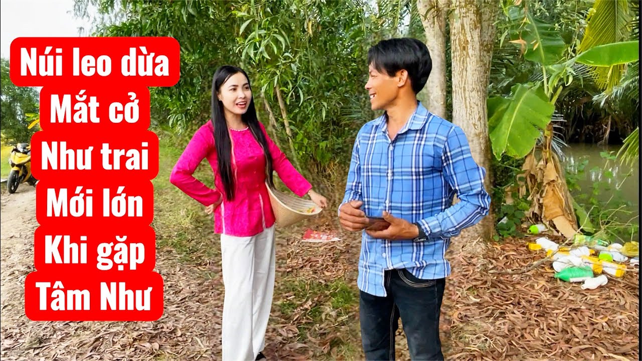 Núi leo dừa thẹn thùng như trai mới lớn khi gặp lại em gái Tâm Như xinh đẹp.