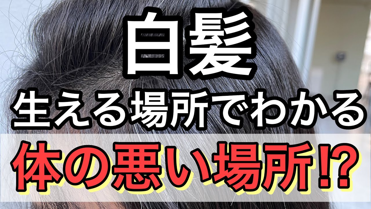 【白髪】生える場所によって体調不良、体の悪い場所がわかる⁉︎徹底解説