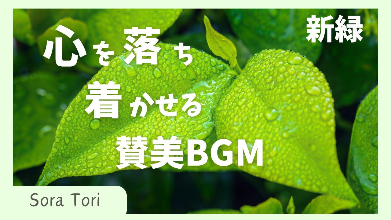 【BGM】心を落ち着かせる賛美BGM　聖歌・讃美歌
