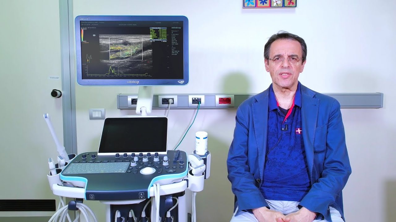 The relevance of WSS in Vector Flow Vascular Imaging-Prof. Alfredo Goddi