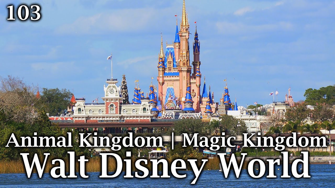 Animal Kingdom and Magic Kingdom - Walt Disney World Part 1 - So Many Parks 103
