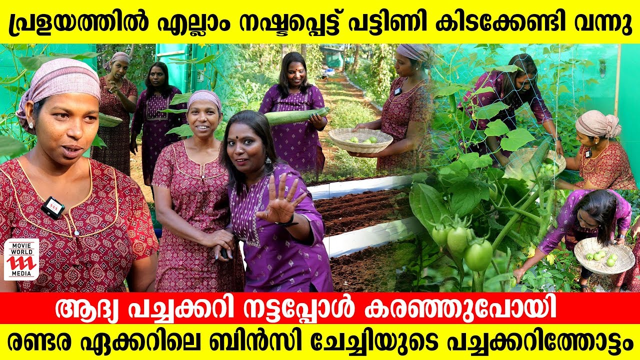 9 സെൻറ്‌ സ്ഥലം പണയം വച്ച് തുടങ്ങിയ കൃഷി , വിജയക്കുതിപ്പിൽ ബിൻസി | Bincy's Farm | Interview