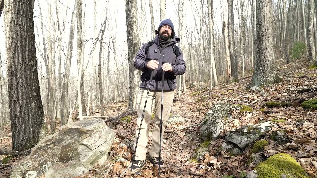 Cascade Mountain Tech Ultralight Carbon Fiber Trekking Poles Review