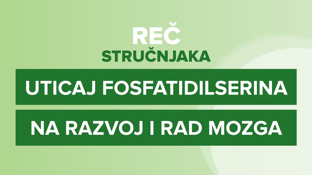 UTICAJ fosfatidilserina na razvoj i rad mozga | Reč stručnjaka | Akademik Prof. dr Đorđe Radak