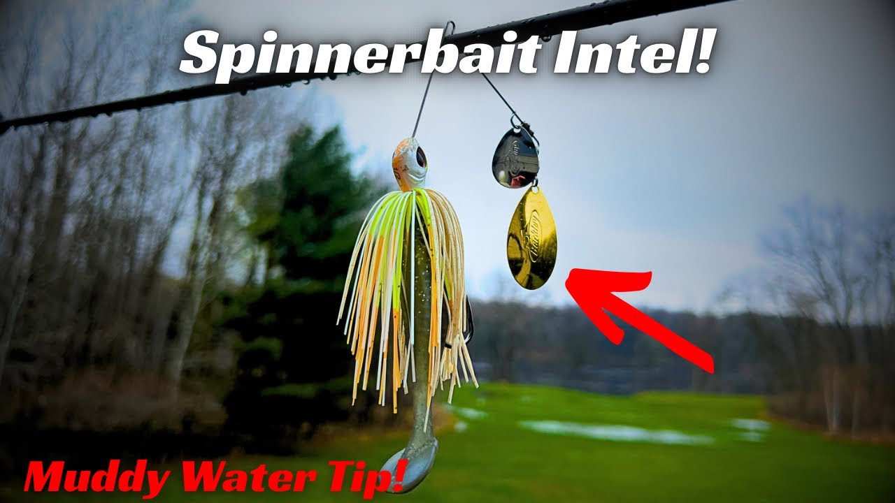 Spinnerbait Success in Muddy Water! Give this a try!