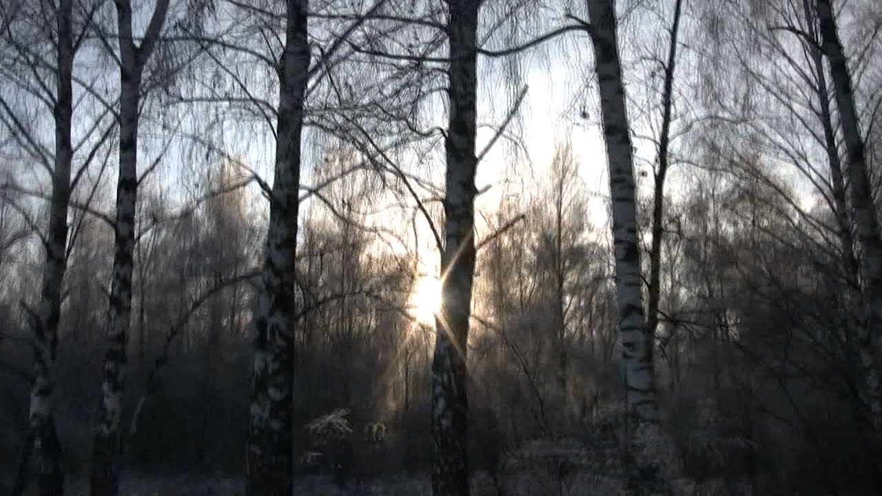 Agalloch - Odal (Ivan Cover)