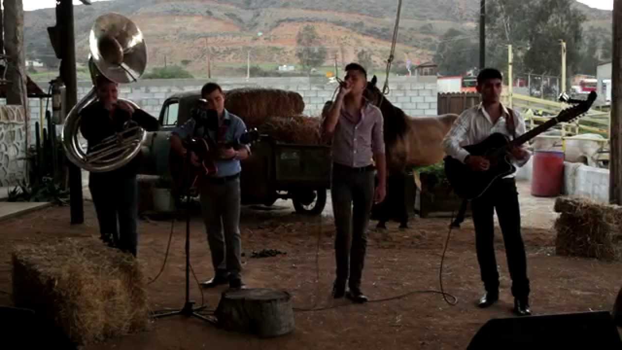 Grupo Contacto - Los Ninis (En Vivo 2015) HD