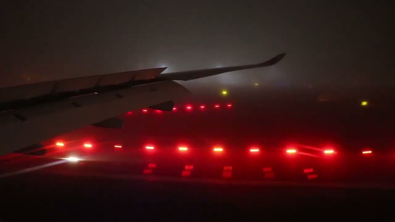 TAP Air Portugal 172 | Airbus A330-900 neo  | Caracas - Lisbon | Very Foggy Landing!