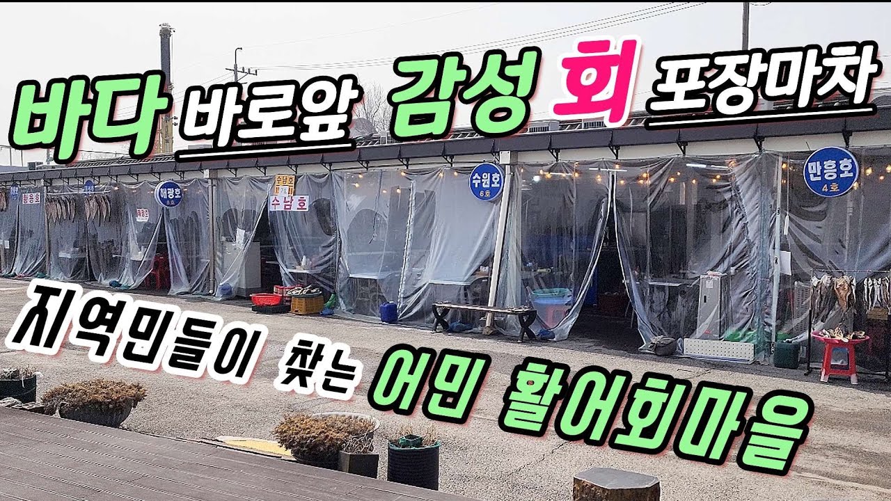 ♤숨은맛집! 감성포차! 지역민들이 찾는다는 초지항 선착장~ 기분 내키는대로 막 썰어주는 활어회마을