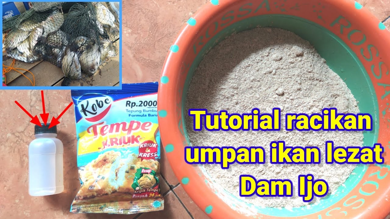 racikan umpan ikan patik/kakap batu