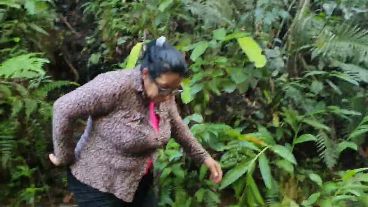 Visitando a linda cachoeira o assentamento São José do Jatobá