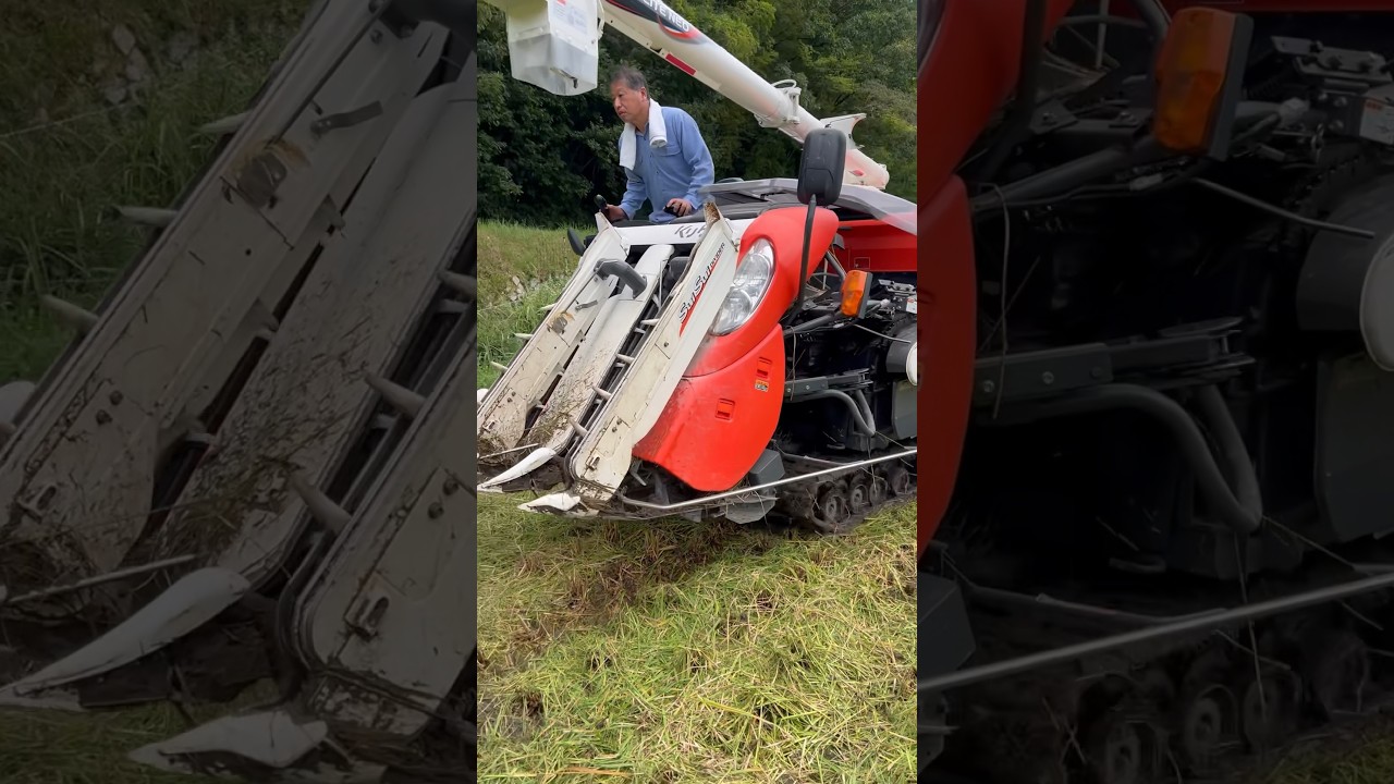 Kubota ER338 クボタの3条38馬力コンバインで刈り取りSTAR🏃&zwj;♂️