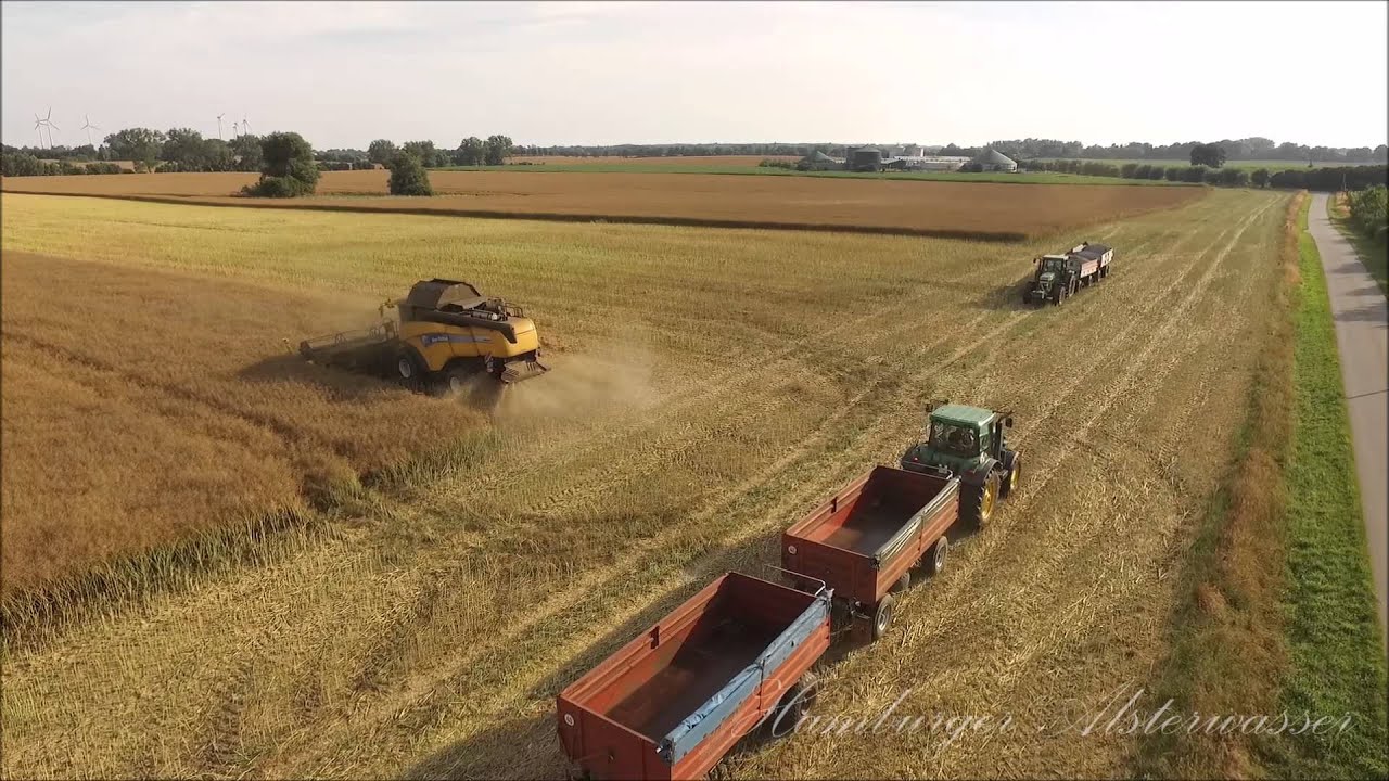 Raps Ernte 2015 Vier Monster Mähdrescher New Holland und Claas Lexion 780 TT