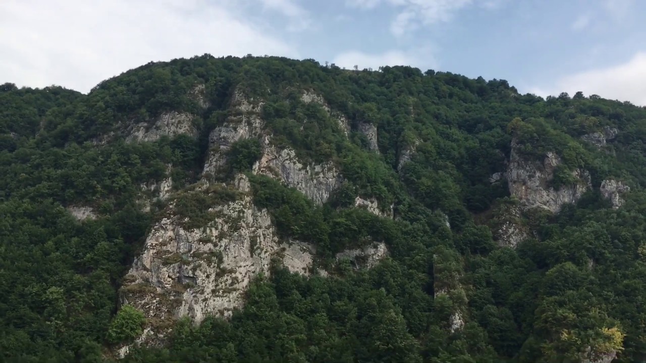 Muşavaq kəndi (Daşkəsən rayonu)