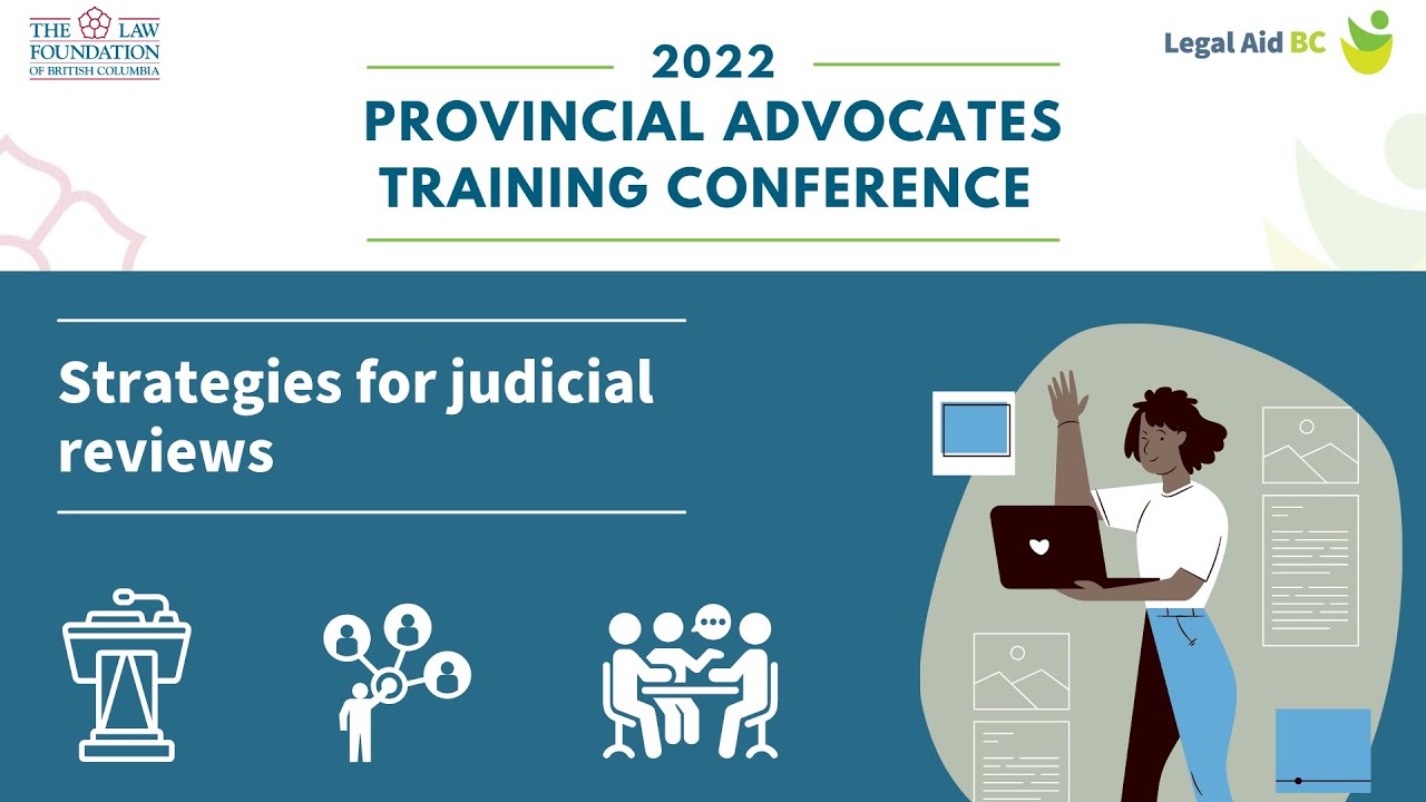 Strategies for judicial reviews