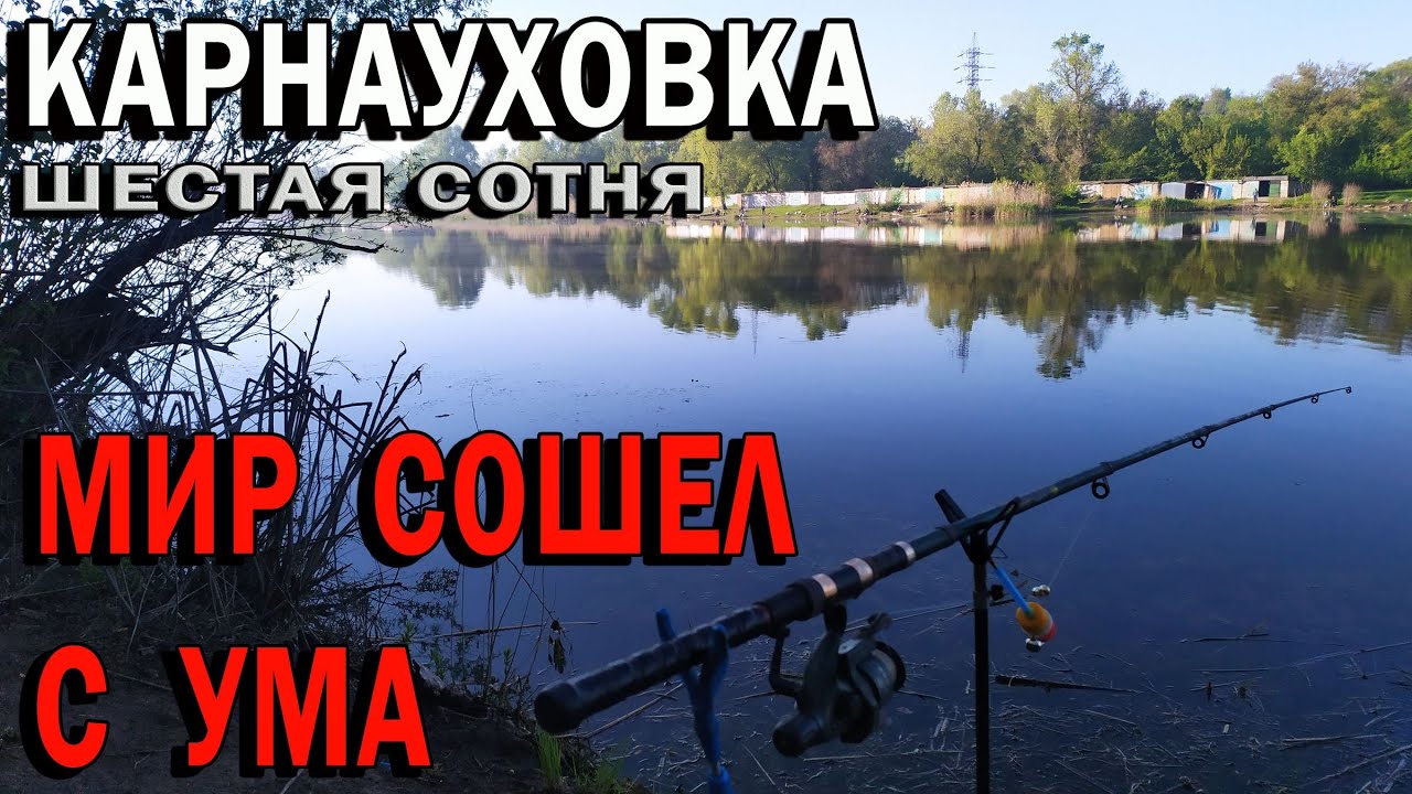 Рыбалка в Карнауховке - мир сошел с ума, меня 