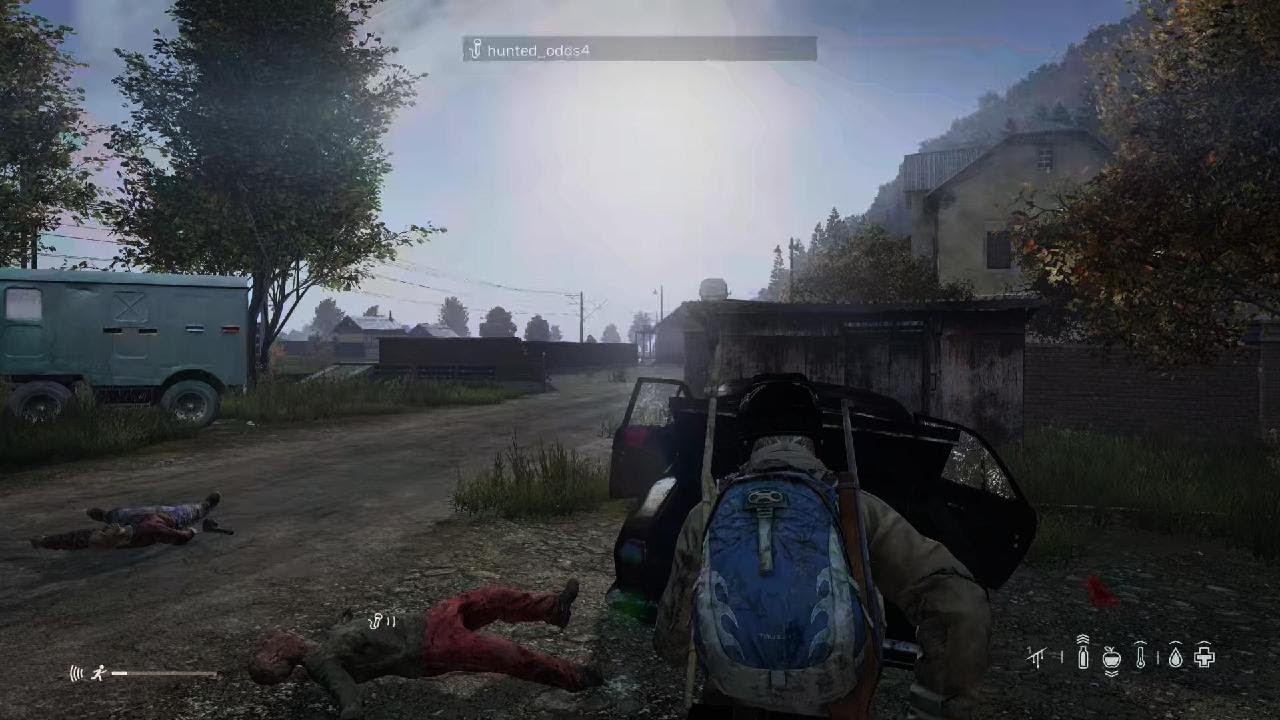 DayZ_20241101183155