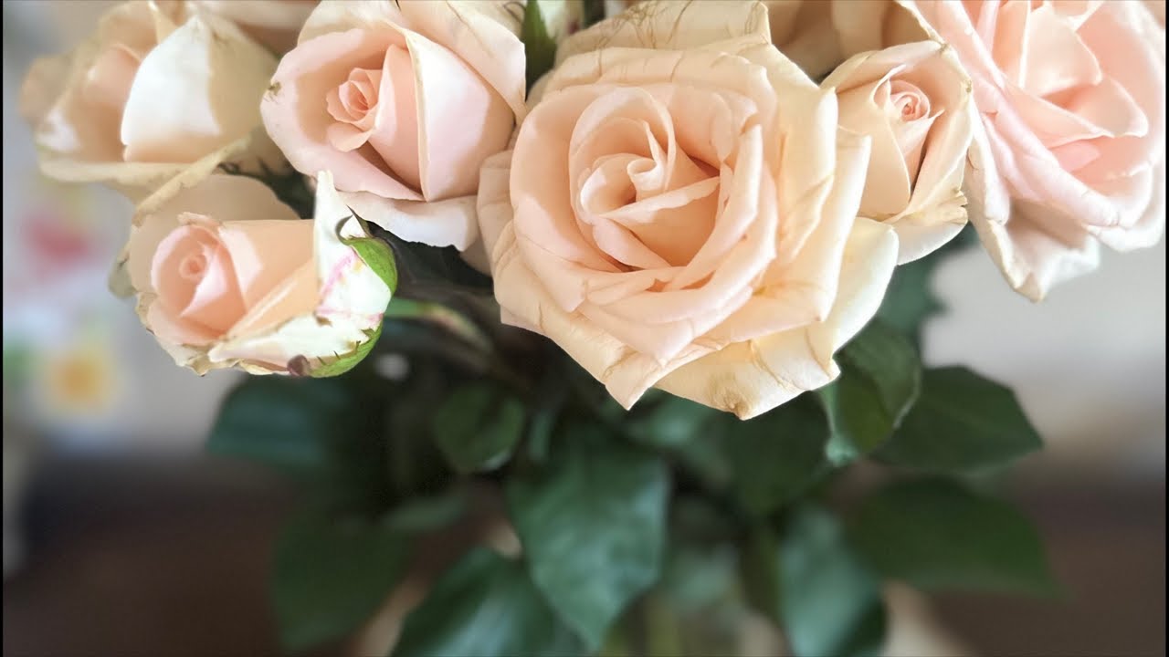 Twin Flames Divine Feminine Reading: you are awakening through the mess!