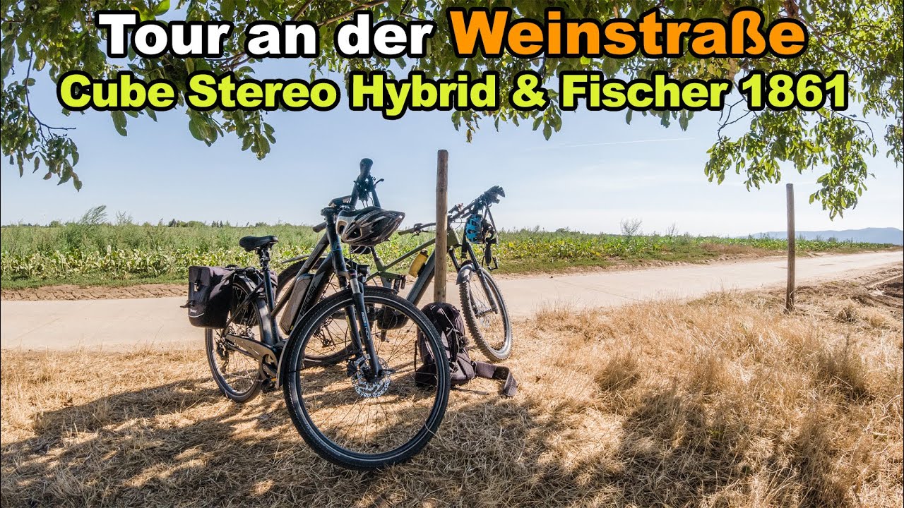 Schöne Orte & Radwege an der Weinstraße | Cube Stereo Hybrid & Fischer 1861