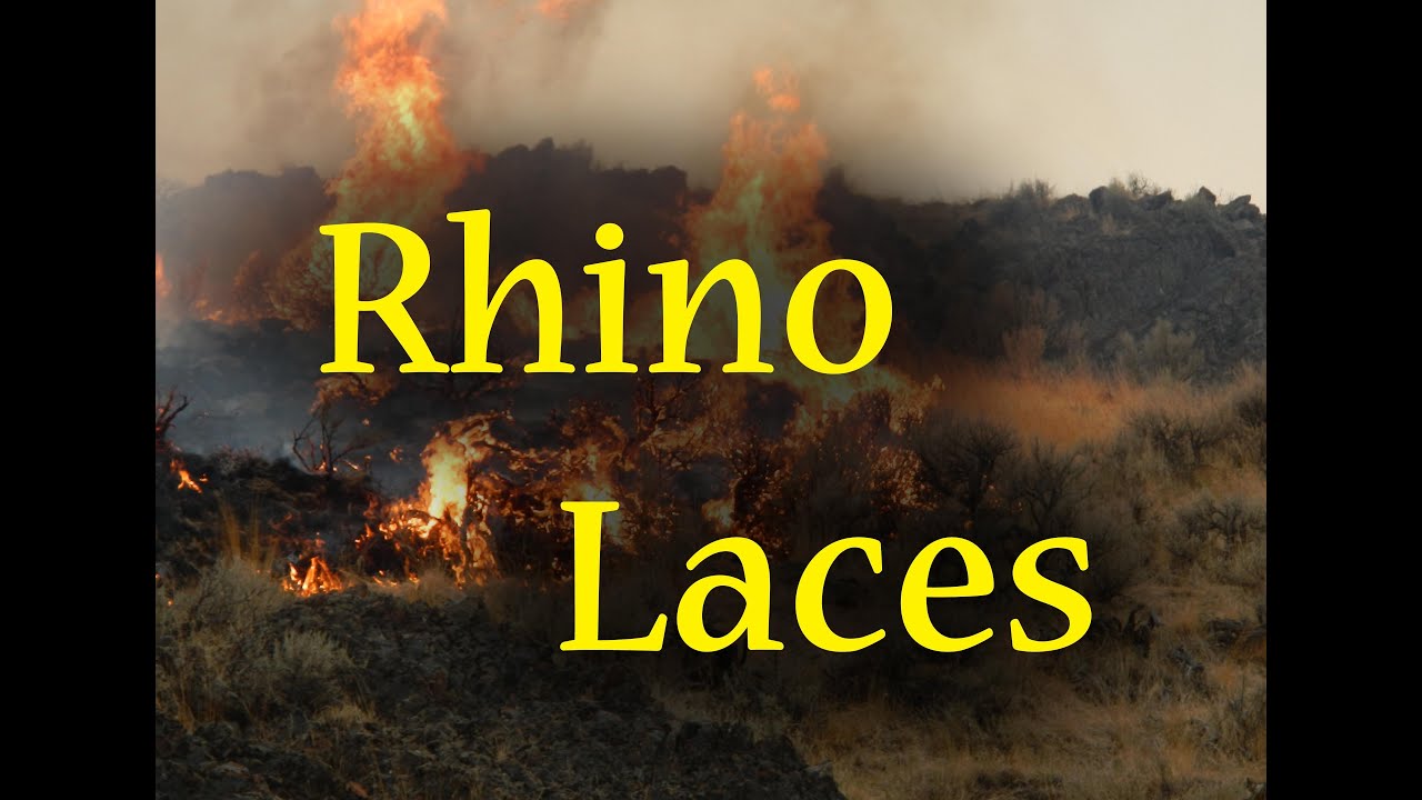 Rhino Laces - Initial Impressions