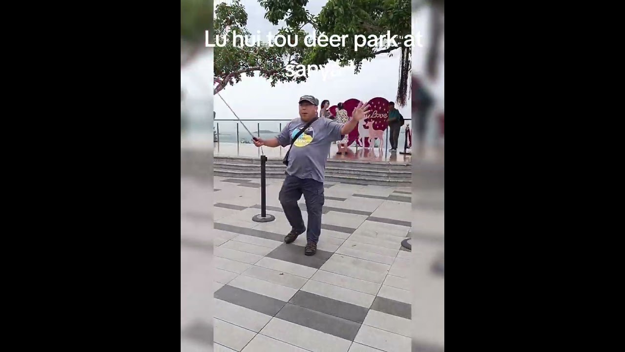 Lu hui tou sanya deer park #luhuitoudeerparksanya