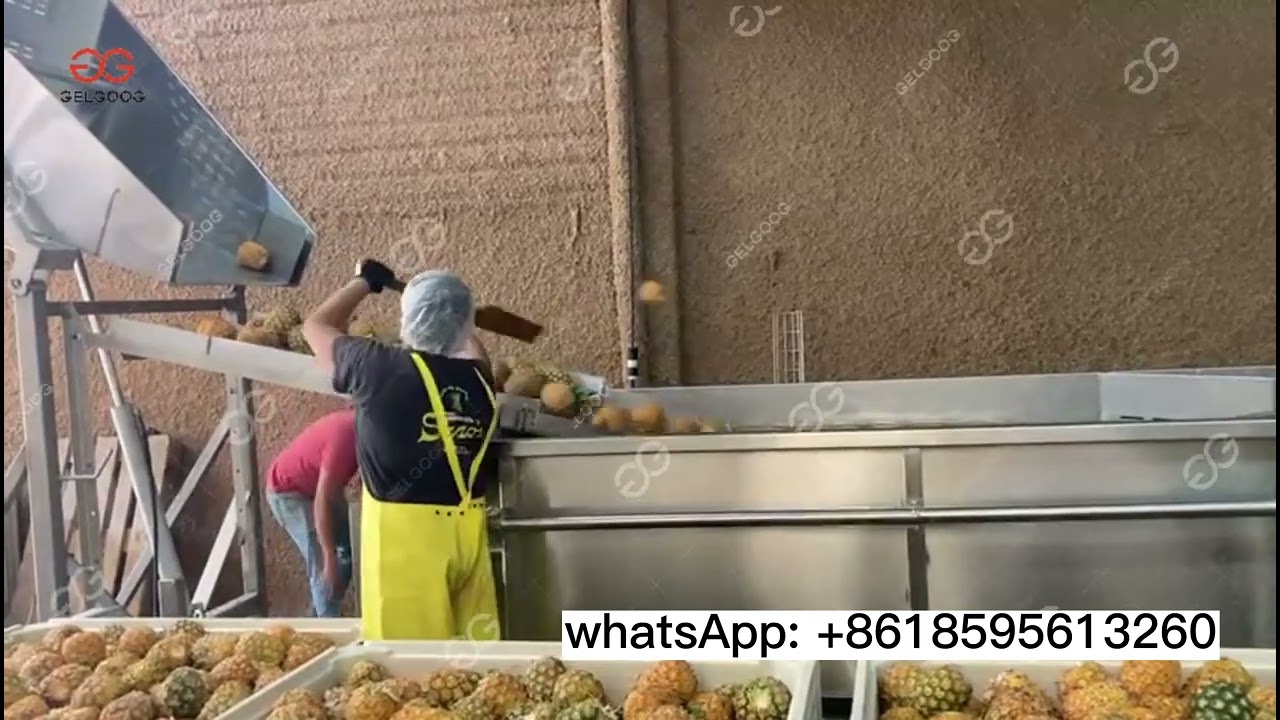 Pineapple Washing Machine