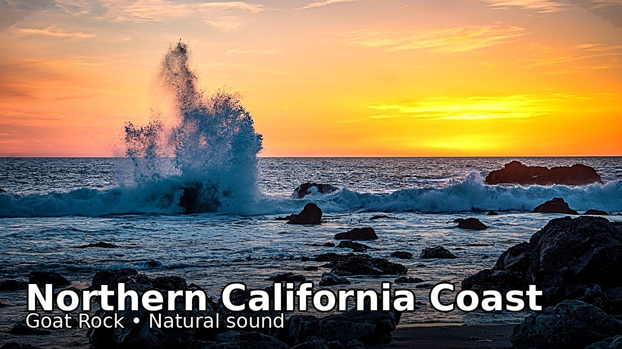 Goat Rock Coast | Ocean Waves and Wildlife (Natural Sound)