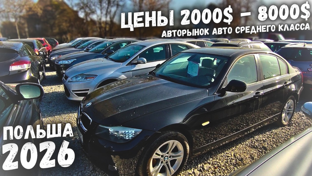 ✅ AВКОМИС/АВТОРЫНОК ОТ 2000$ ДО 8000$ 🚙СРЕДНИЙ КЛАСС МАШИНЫ В ПОЛЬШЕ🚗 ᛁ ВРОЦЛАВ ᛁ 2026