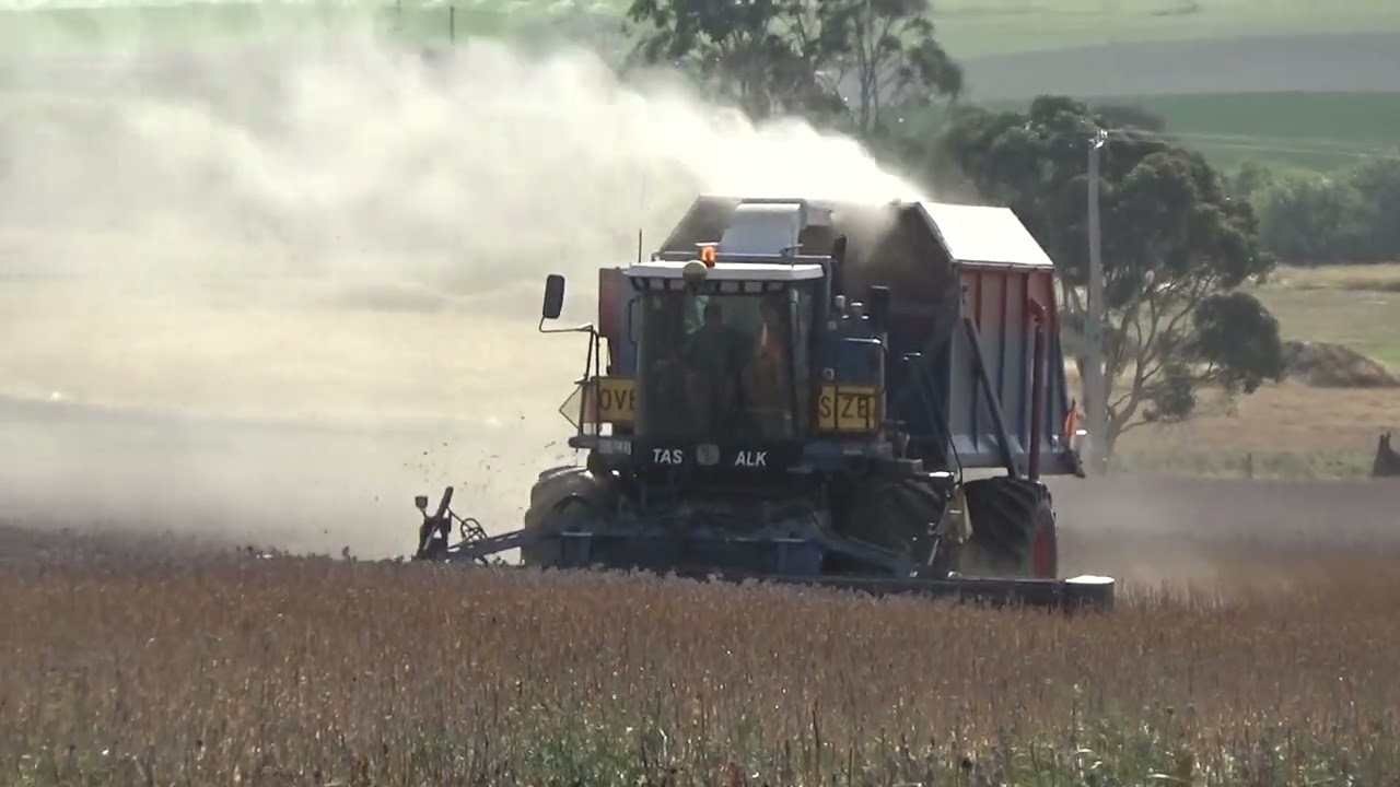 Hattondale Poppy Harvest 2026 Part 1