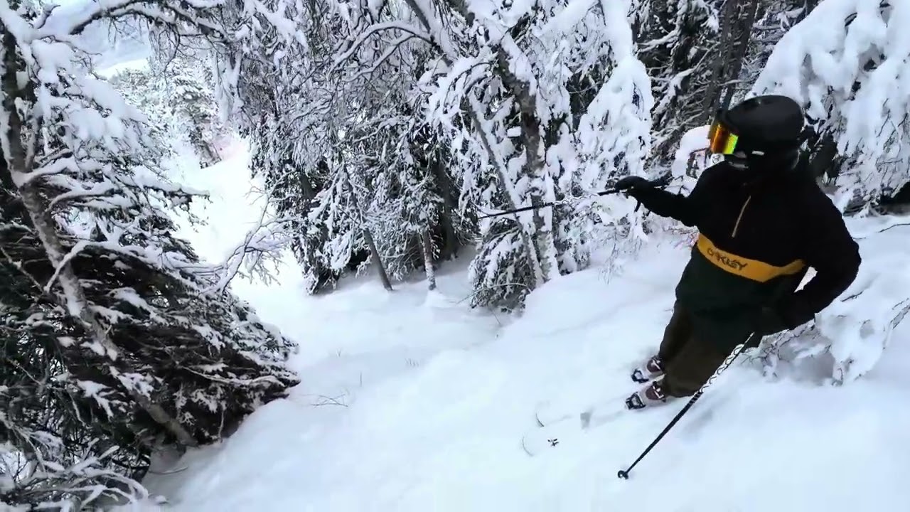 Vassfjellet