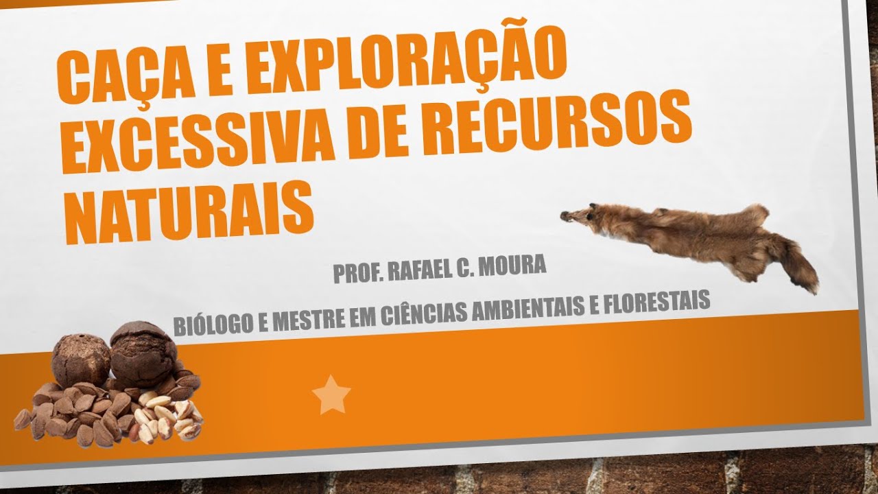 Biologia da Conservação: Caça e Exploração Excessiva de Recursos Naturais (3º fator de ameaça)