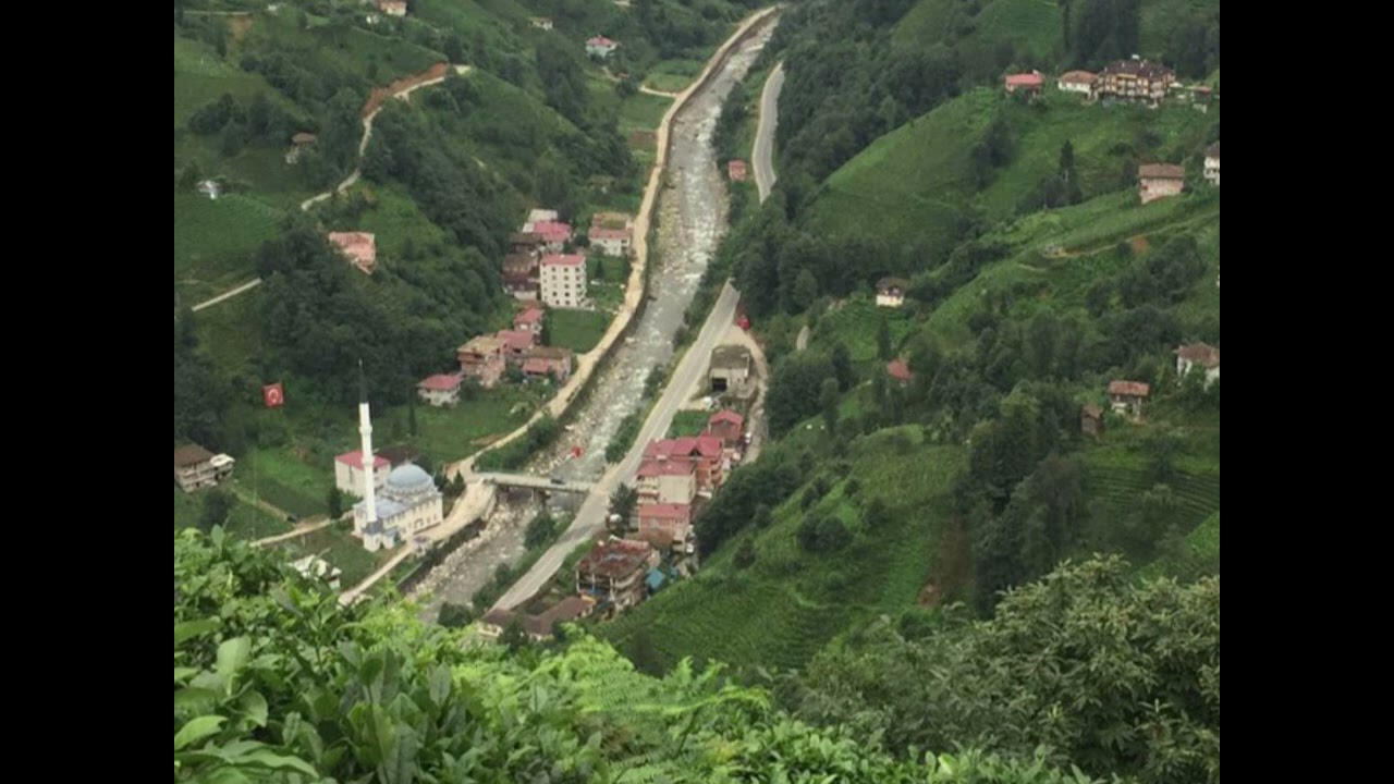 Rize Horon Potpori