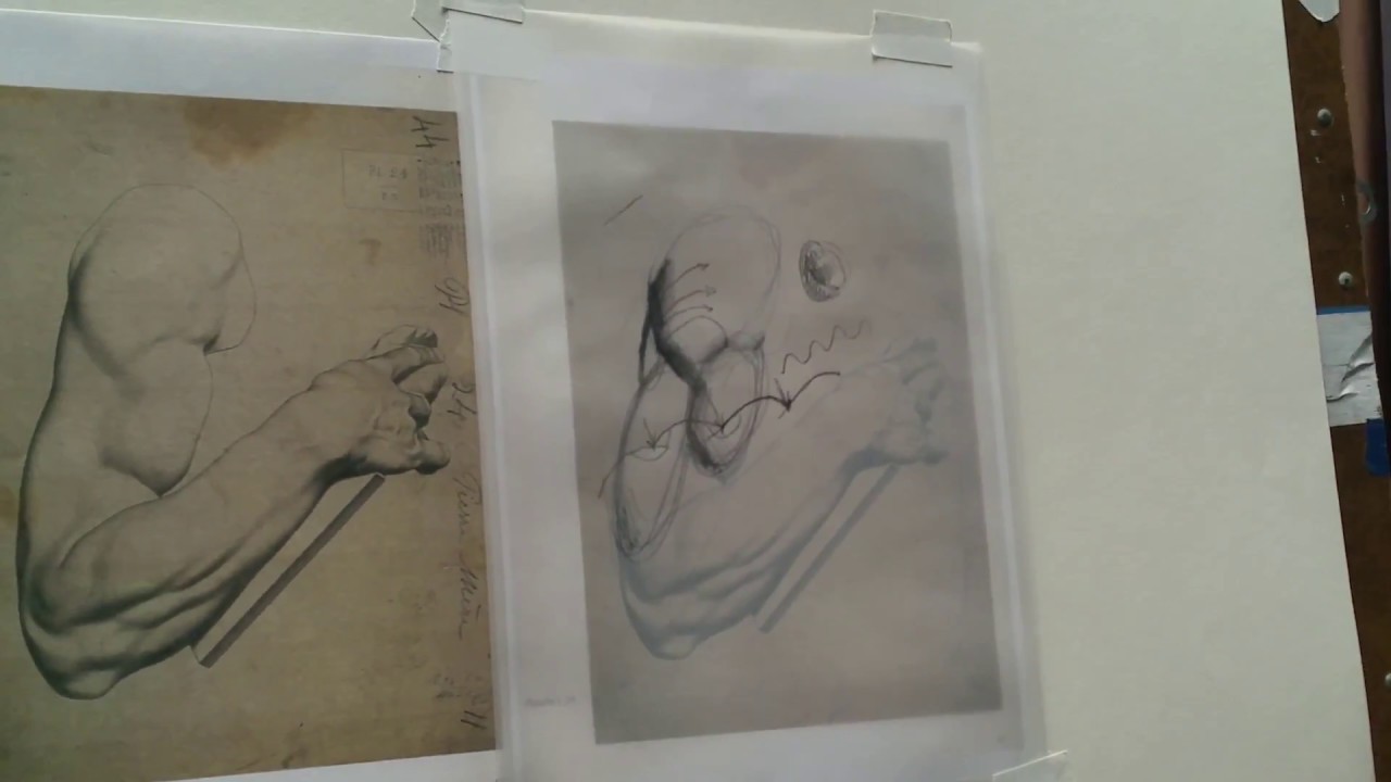 Bargue Plates: Turning Form Demo from Sadie Valeri's Online Atelier