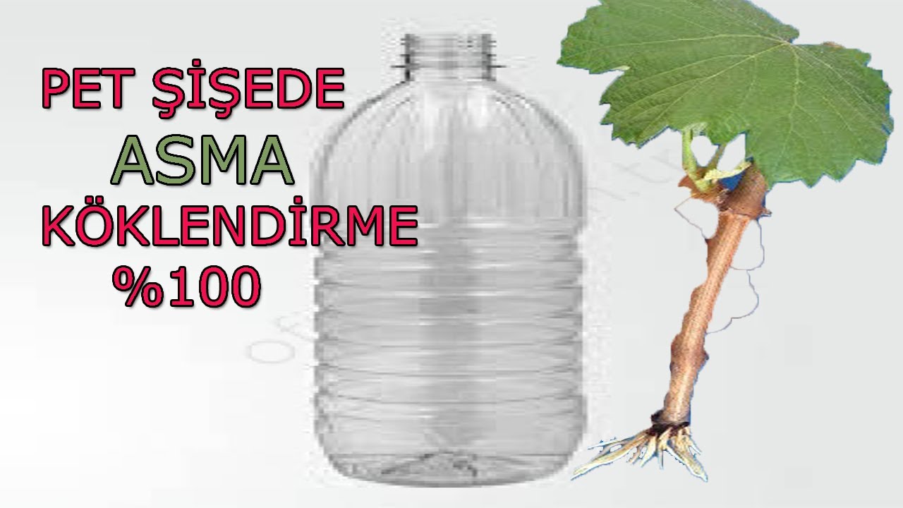 PET ŞİŞEDE HIZLI VE GARANTİ ASMA ÇELİKLENDİRME