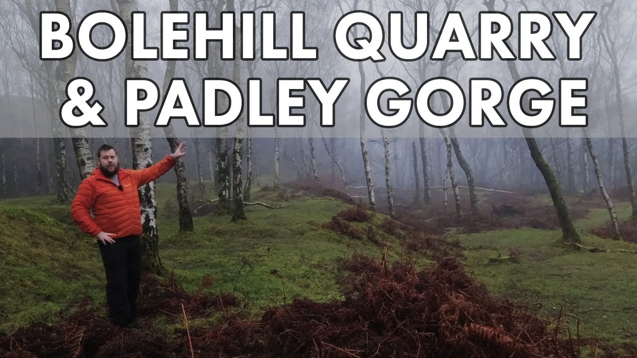 Bolehill Quarry and Padley Gorge - Woodland Photography
