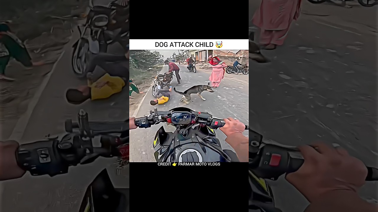 Dog Attack 🤯 | Motovlogs
