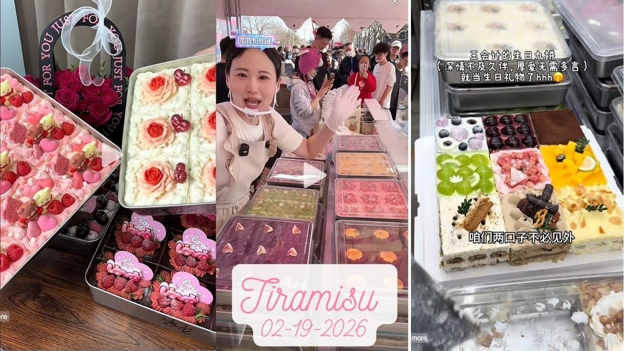 Tiramisu Cake Livestream Sale (100 trays)|Zhao Zhao #02192026 #tiramisu #cake #dessert