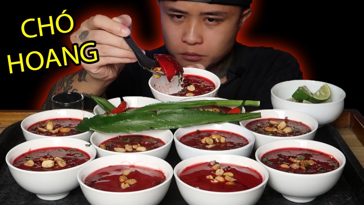 Mukbang Ăn Khuya - 10 Bát T.iế.t Canh Đêm Khuya l Câu Chuyện Con Những DOG hoang Tội Nghiệp