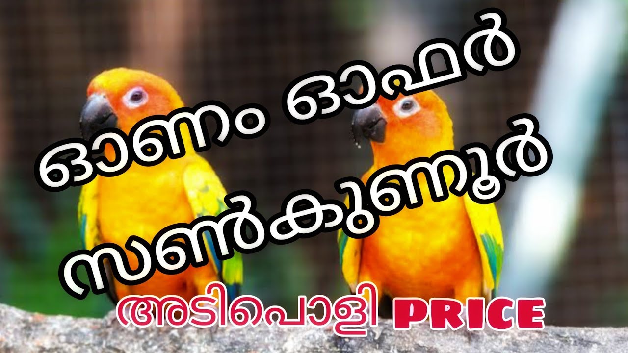 🦜🦜ഓണം ഓഫർ 🦜🦜സൺകുണൂർ 🦜🦜special offer price 🦚🦚🦚