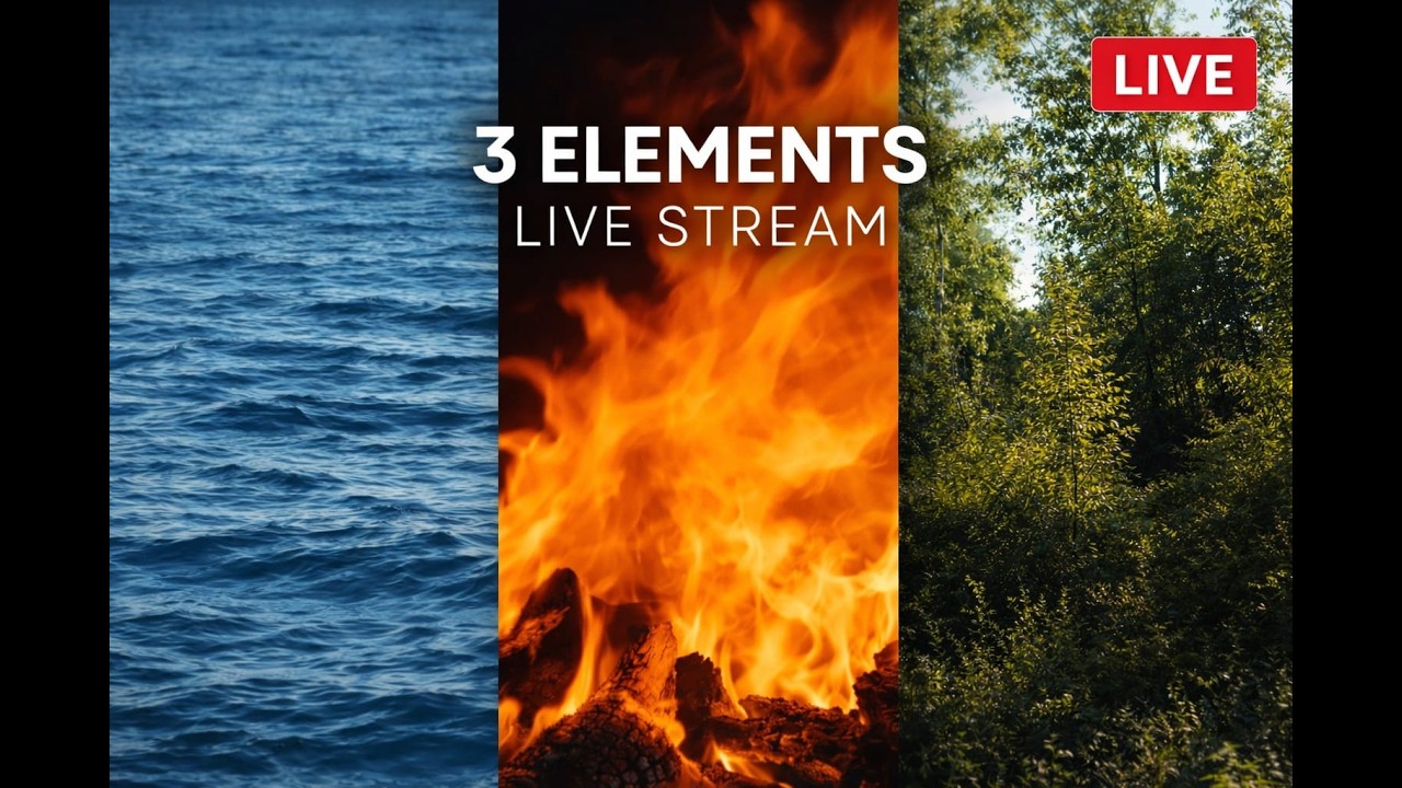 3 Elements of Nature LIVE 🌊🔥🌳 Relaxing Fire, Ocean Waves & Forest