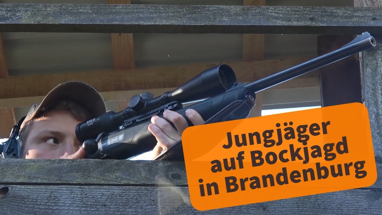 Bockjagd in Brandenburg: Jungj&auml;ger erlegen das erste St&uuml;ck Rehwild!