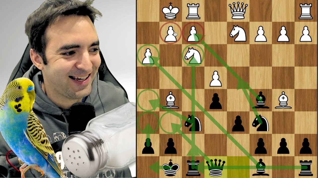 Instructive Rapid Chess | A Different Opening Every Game