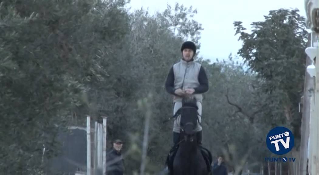 Palo del Colle, fervono i preparativi per il Palio del Viccio