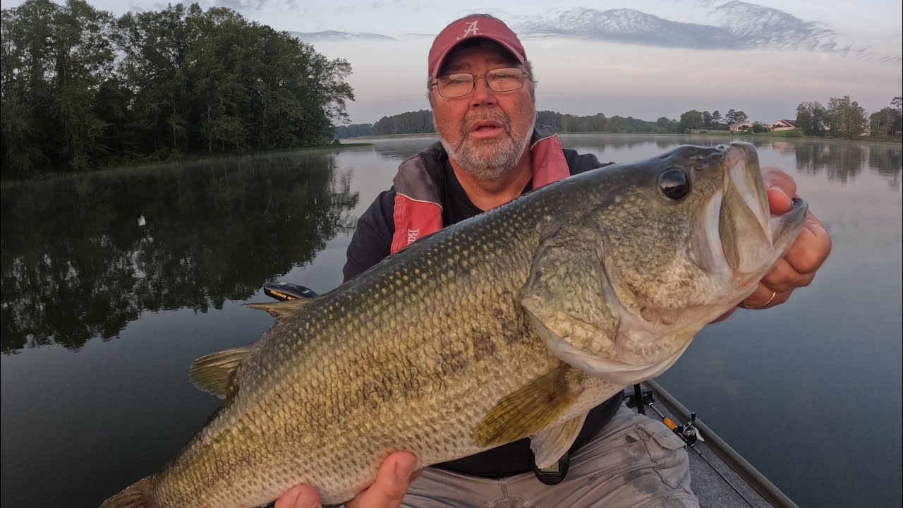 Big Fish today 7 pound 7 oz Lake Catoma